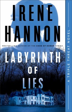 Labyrinth of lies Book cover