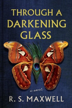 Through a darkening glass : a novel  Cover Image