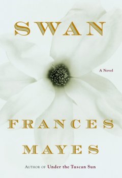 Swan : a novel  Cover Image