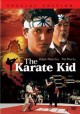 Go to record The karate kid :