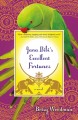 Go to record Jana Bibi's excellent fortunes : a novel
