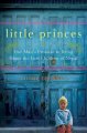 Go to record Little princes : one man's promise to bring home the lost ...