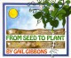 Go to record From seed to plant