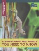 Go to record 12 super-camouflaged animals you need to know