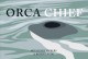 Go to record Orca Chief