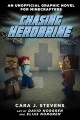 Go to record Chasing Herobrine