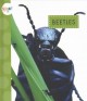 Go to record Beetles