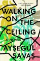 Go to record Walking on the ceiling