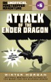 Go to record Attack of the Ender Dragon