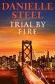 Go to record Trial by fire : a novel