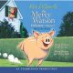 Go to record The Mercy Watson collection. Vol. 1