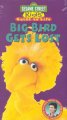 Go to record Big bird gets lost