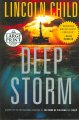 Go to record Deep Storm a novel