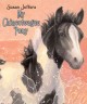 Go to record My Chincoteague pony