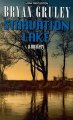 Go to record Starvation Lake : a mystery