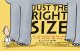 Go to record Just the right size : why big animals are big and little a...